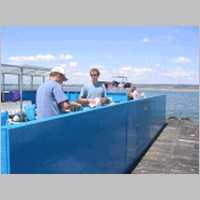 gallery/raft_painting_2008_00.jpg